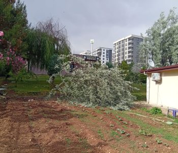 IMG-20250513-WA0144