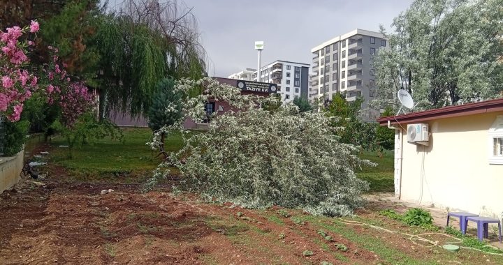IMG-20250513-WA0144